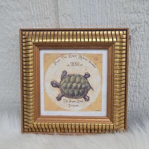 S-Hely  framed wall art the green shell tortoise